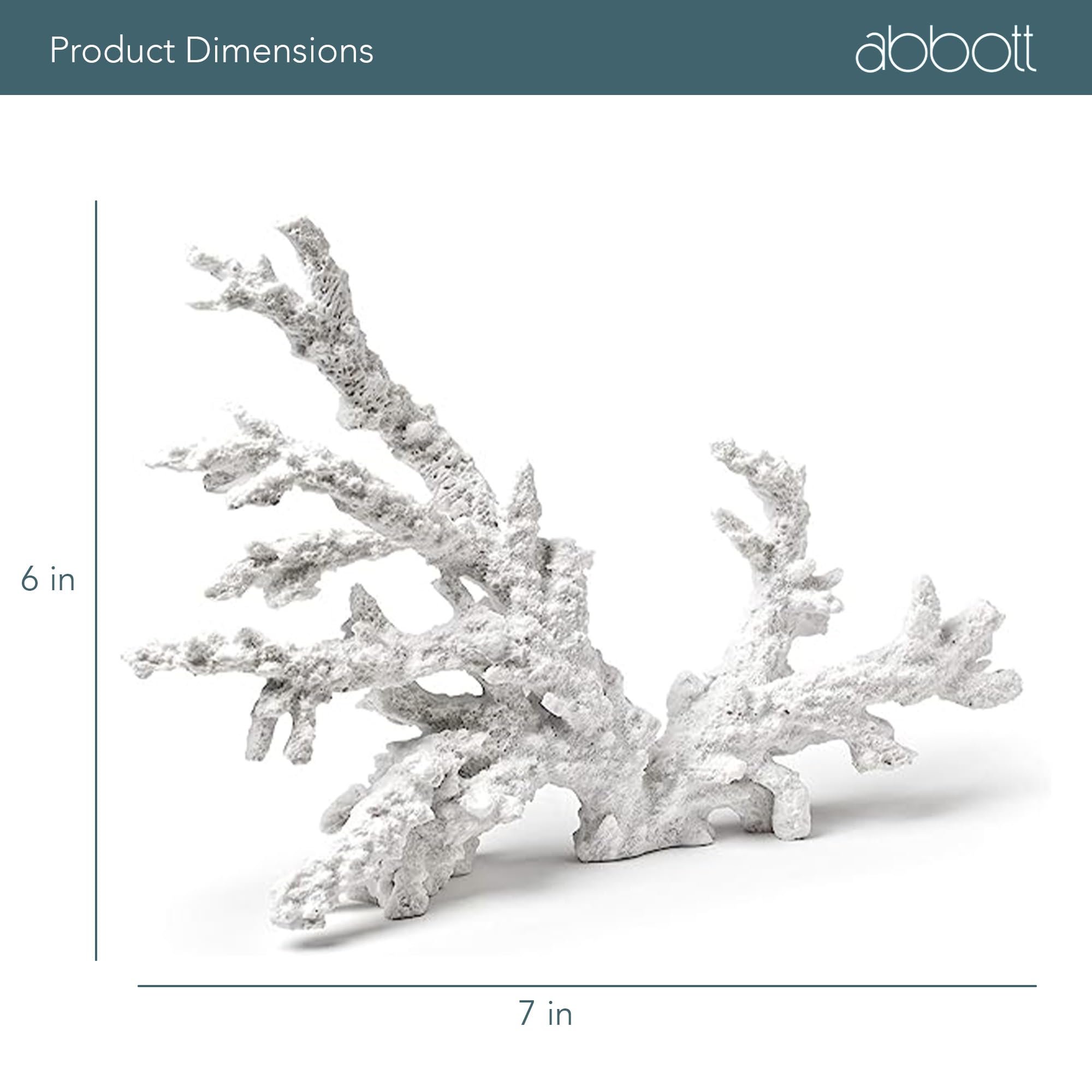 Amazon.com: Abbott Collection 20-SEASHORE/09 Large White Coral